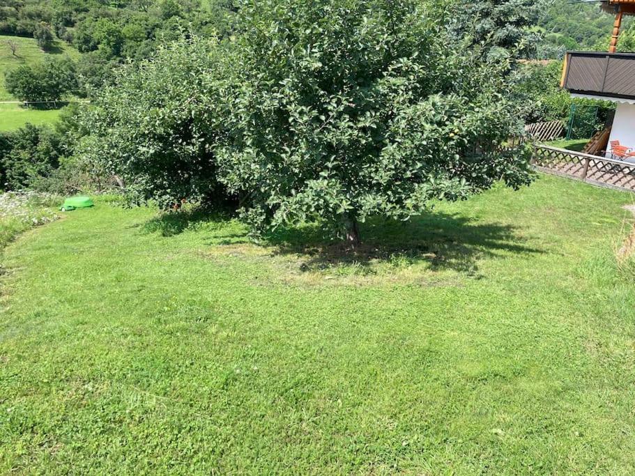 Niederstetten Ferienwohnung מראה חיצוני תמונה